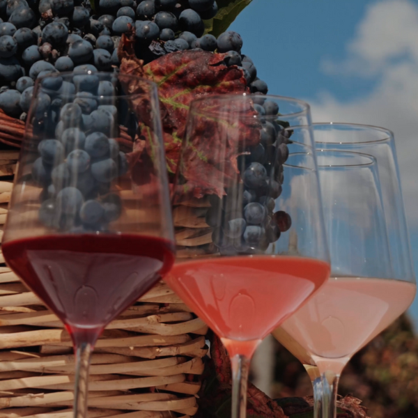 progetto senza titolo (11)