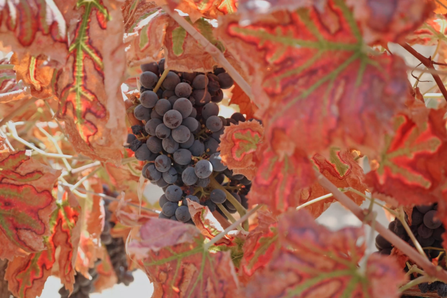 progetto senza titolo (2)