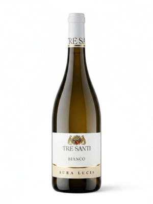 senza titolo (479 x 618 px) (200 x 200 px) (300 x 400 px) (2)