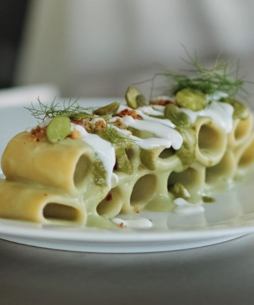 senza titolo (500 x 600 px) (2)